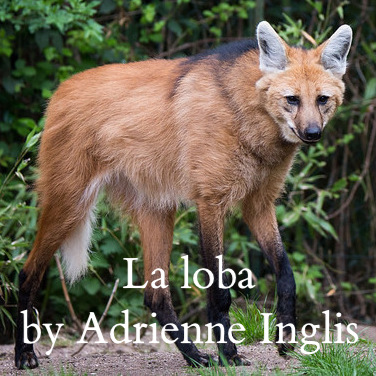 La loba (The Wolf)